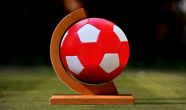 的引援目标 的引援目标