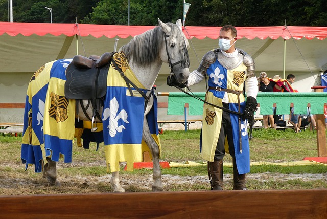 地区稳定的 地区稳定的