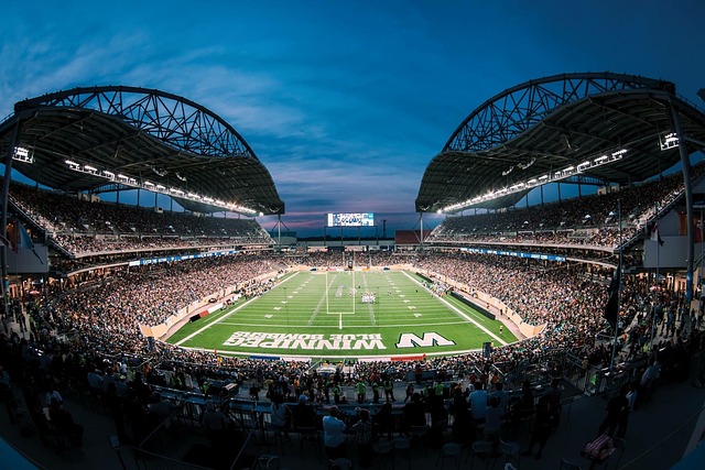 望在未来数 望在未来数