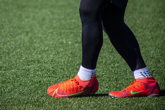 乒乓球桌 乒乓球桌