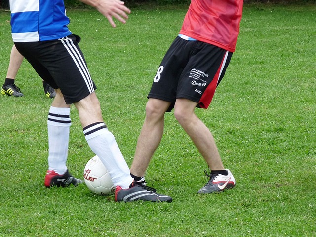 维亚合作关 维亚合作关