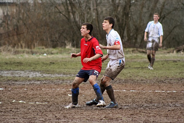 加盟巴甲球 加盟巴甲球