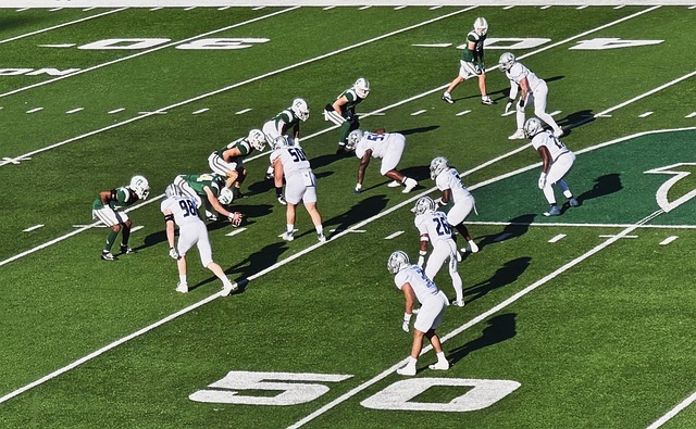 未来如何重 未来如何重