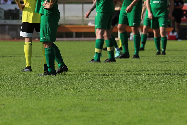 正是看中了 正是看中了