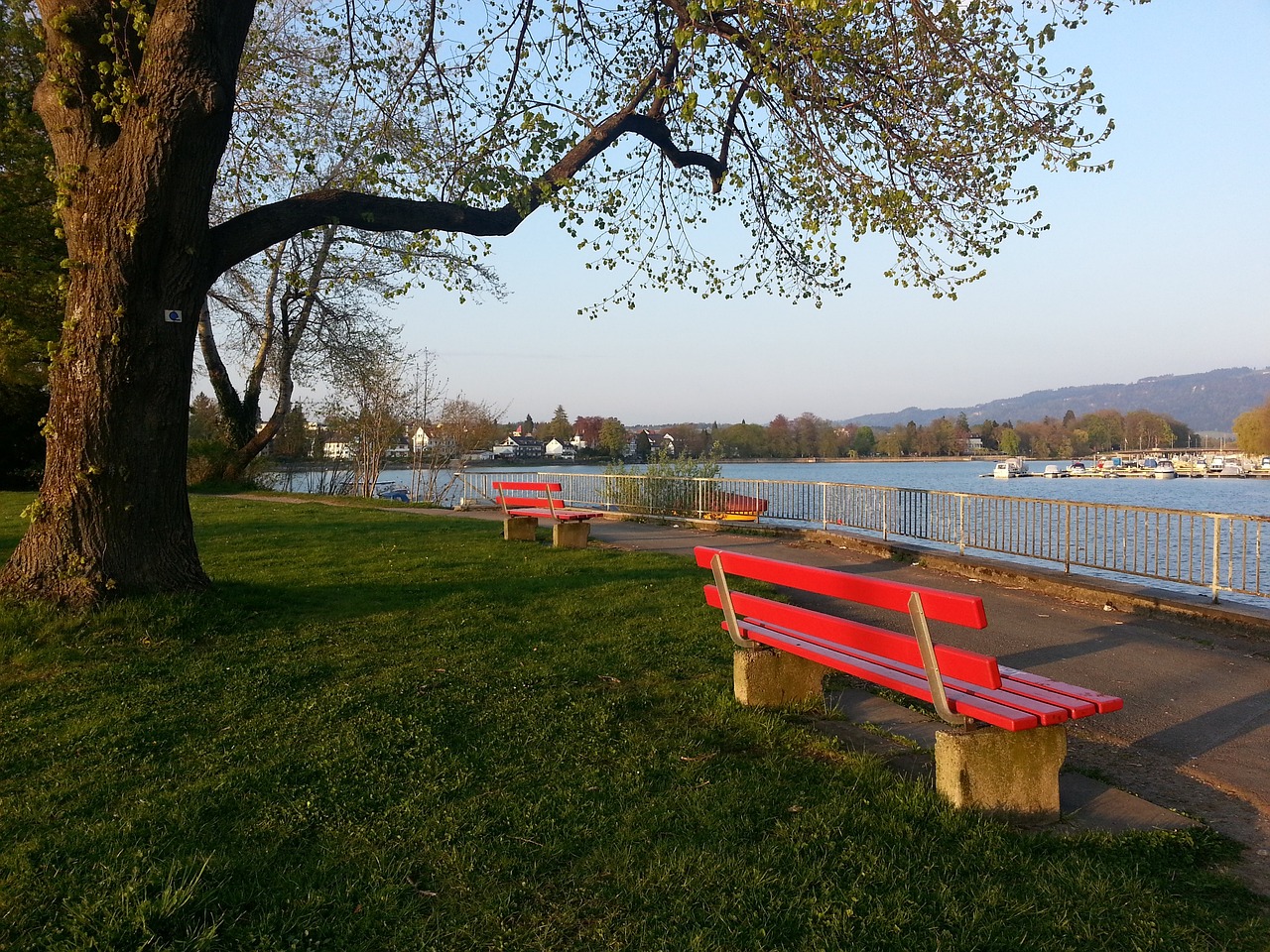 设计师希望 设计师希望