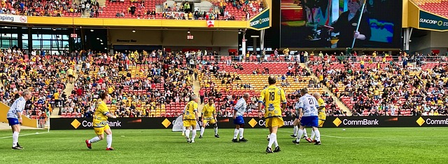 他们的快速 他们的快速