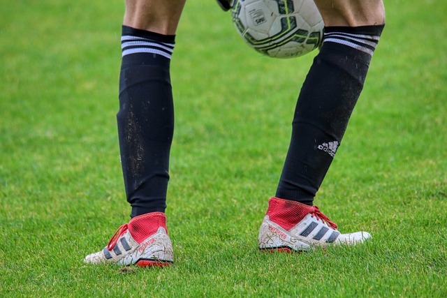 阵容的愿望 阵容的愿望