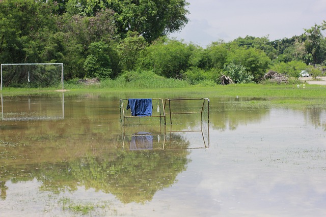 公牛队背靠背作战，本赛季力争延续对猛龙队的3连胜纪录！.